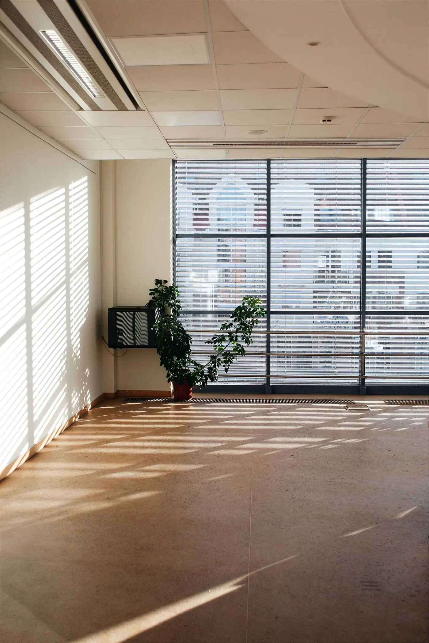 Pièce entièrement vide, murs nus et sol dégagé, lumière naturelle